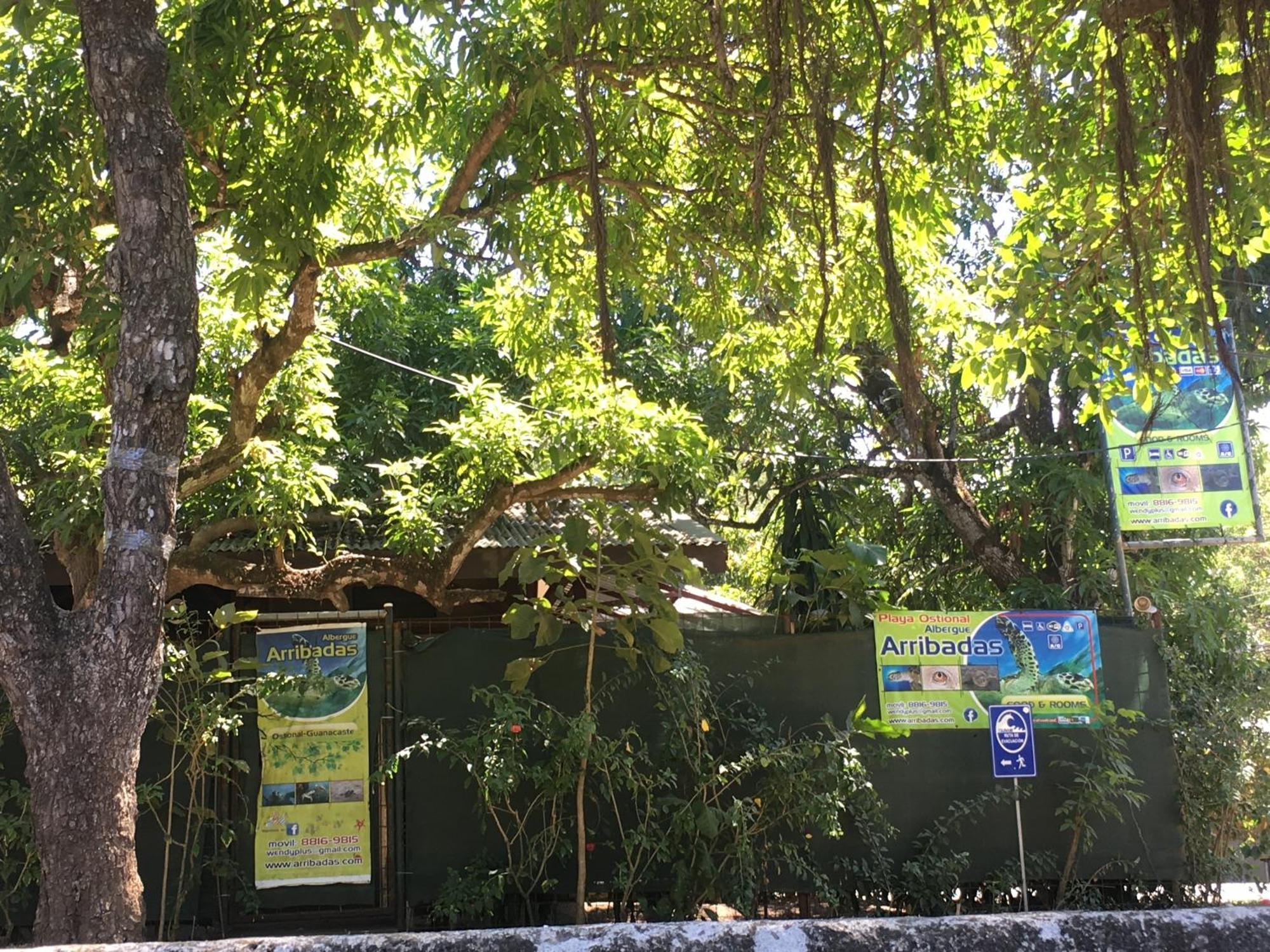 Cabinas Surf Arribadas Ostional Wildlife Refuge ภายนอก รูปภาพ